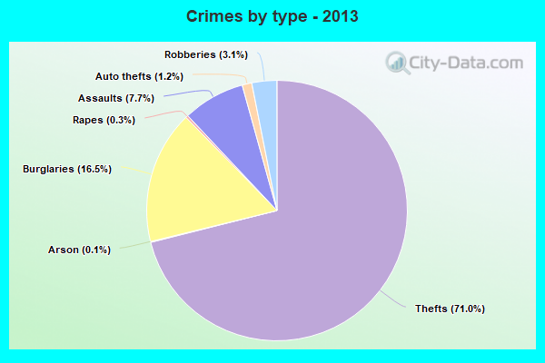 Crimes by type - 2013