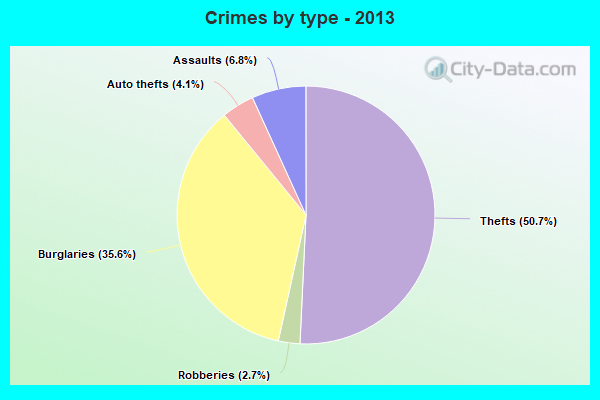 Crimes by type - 2013