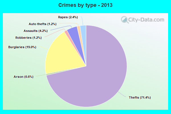 Crimes by type - 2013