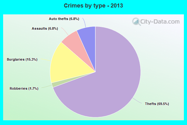 Crimes by type - 2013