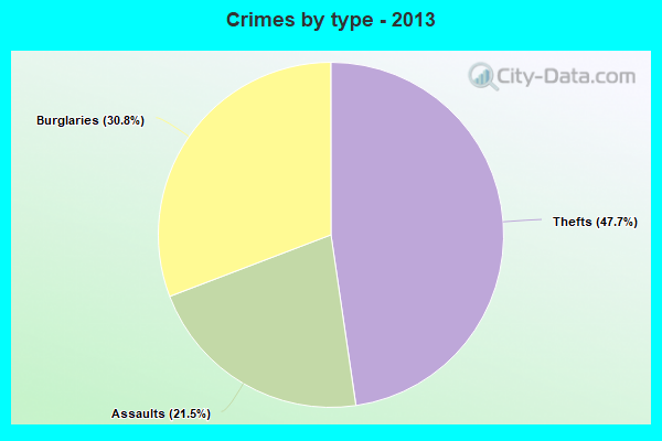 Crimes by type - 2013