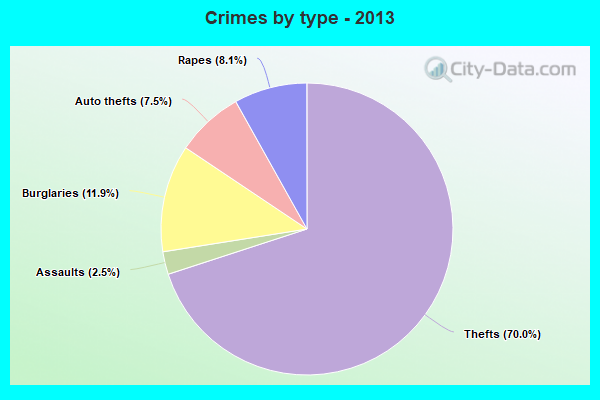 Crimes by type - 2013