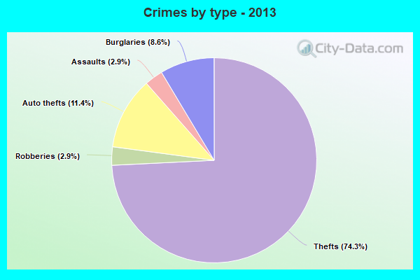 Crimes by type - 2013