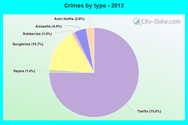 Crimes by type - 2013