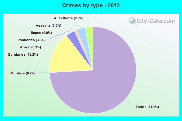 Crimes by type - 2013