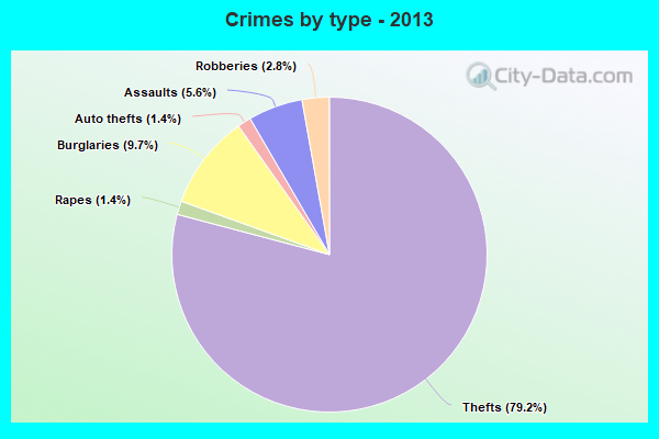 Crimes by type - 2013