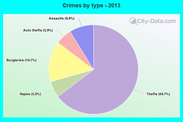 Crimes by type - 2013