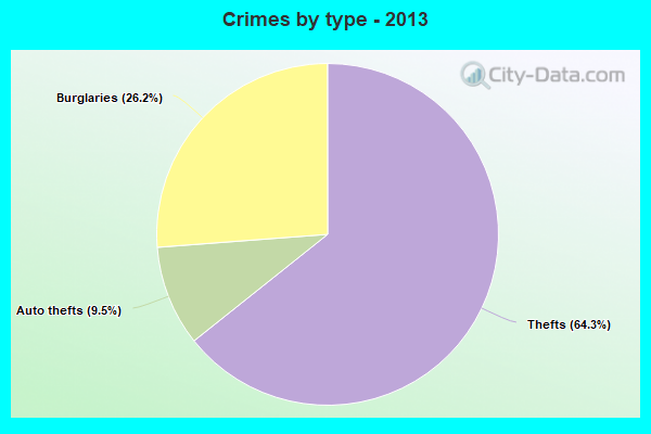 Crimes by type - 2013