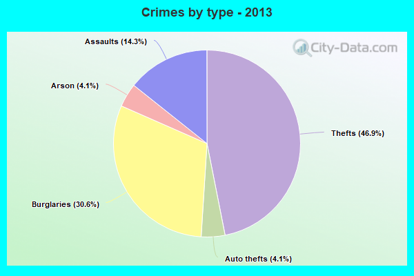 Crimes by type - 2013