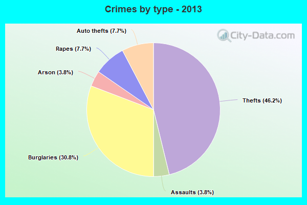 Crimes by type - 2013