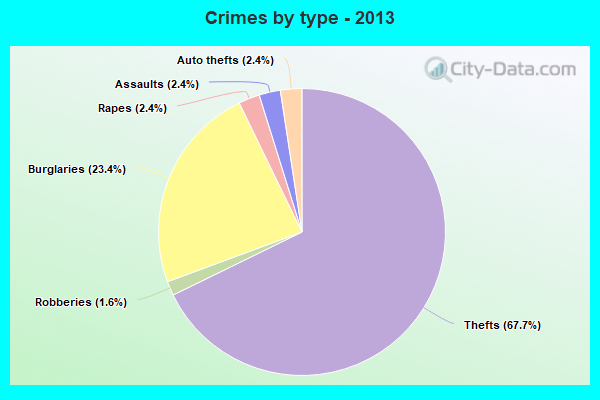 Crimes by type - 2013