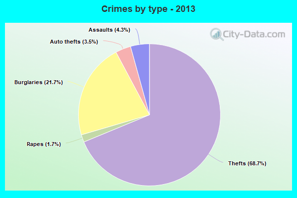 Crimes by type - 2013