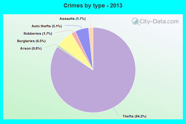 Crimes by type - 2013