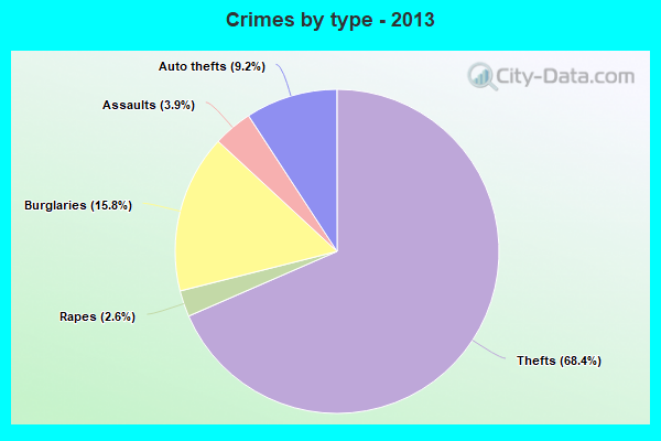 Crimes by type - 2013