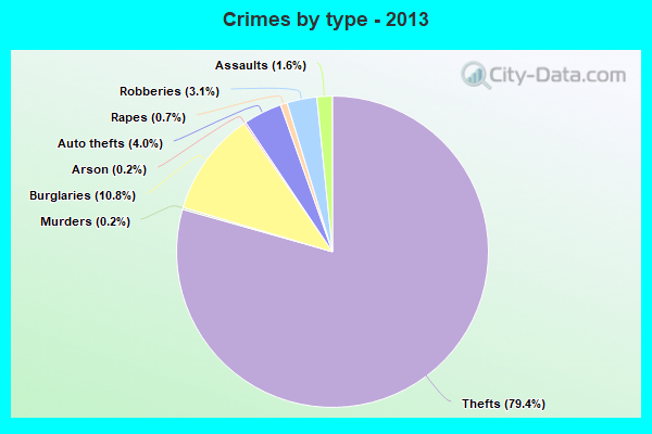 Crimes by type - 2013