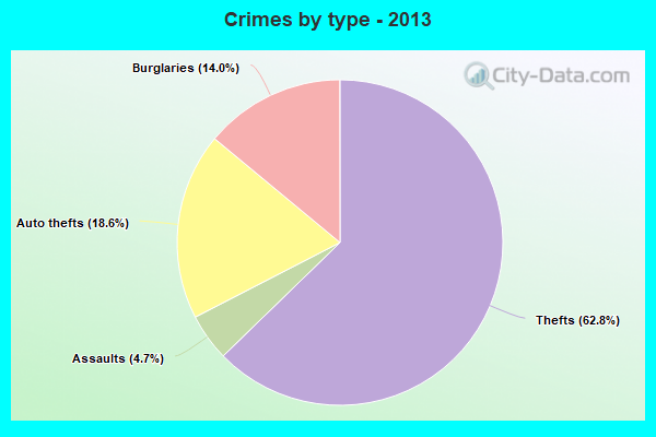 Crimes by type - 2013