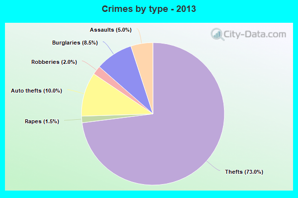 Crimes by type - 2013