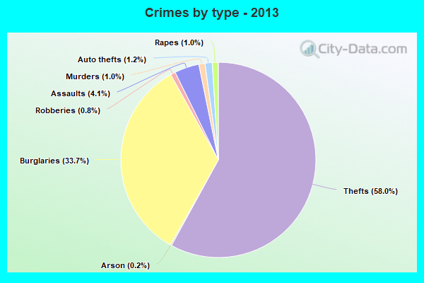 Crimes by type - 2013