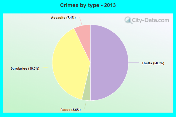 Crimes by type - 2013