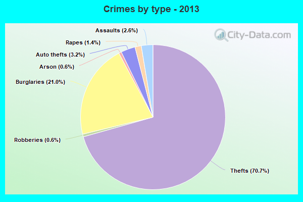 Crimes by type - 2013