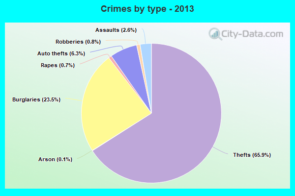 Crimes by type - 2013