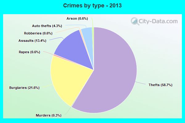 Crimes by type - 2013