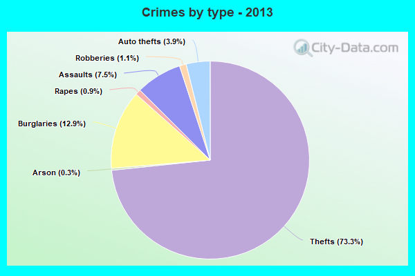 Crimes by type - 2013