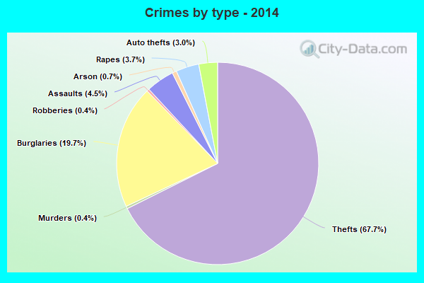 Crimes by type - 2014