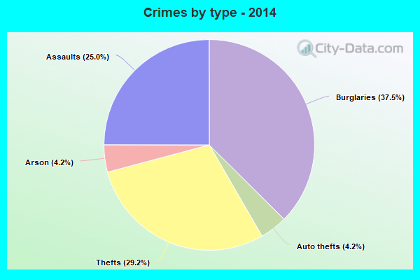 Crimes by type - 2014