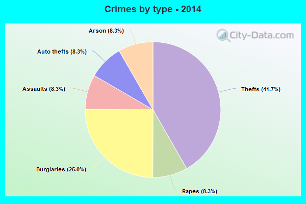 Crimes by type - 2014