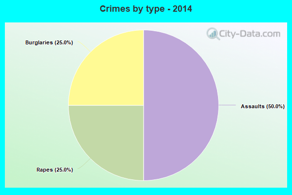 Crimes by type - 2014