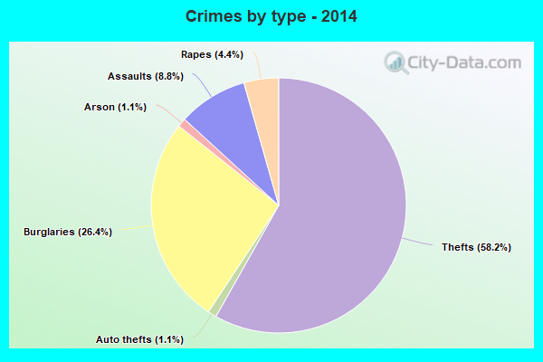 Crimes by type - 2014