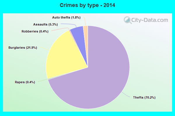 Crimes by type - 2014