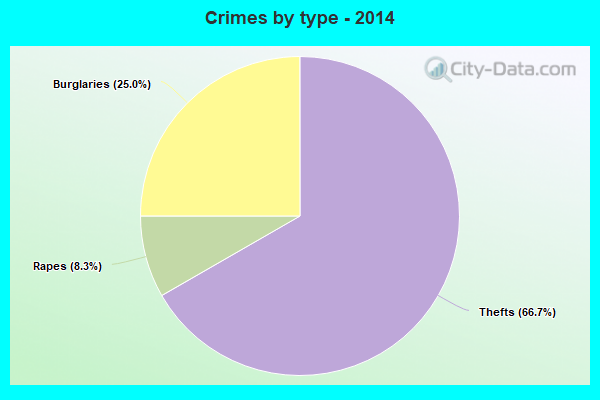 Crimes by type - 2014