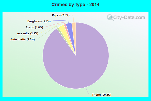 Crimes by type - 2014