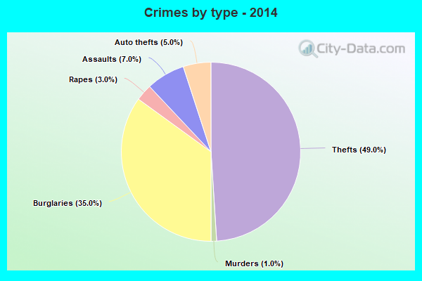 Crimes by type - 2014