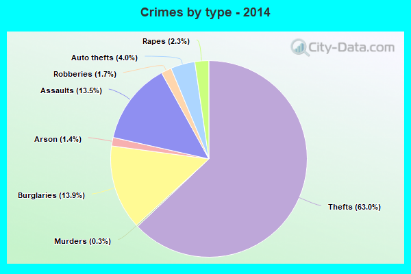 Crimes by type - 2014