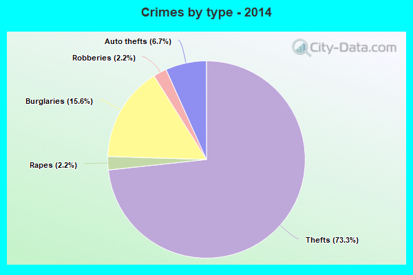 Crimes by type - 2014