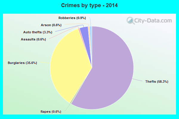 Crimes by type - 2014