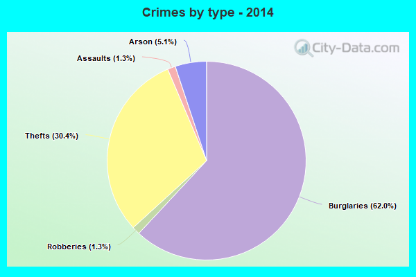 Crimes by type - 2014