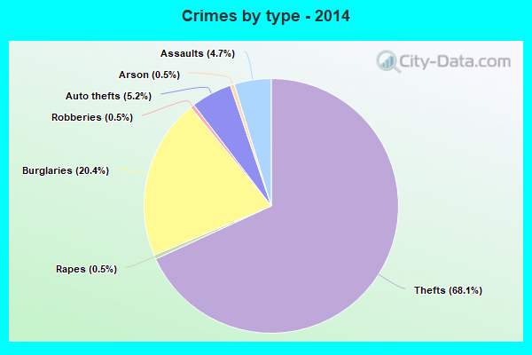 Crimes by type - 2014