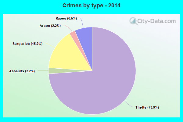 Crimes by type - 2014