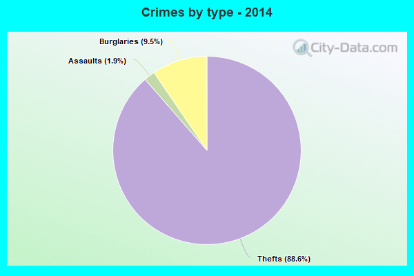 Crimes by type - 2014