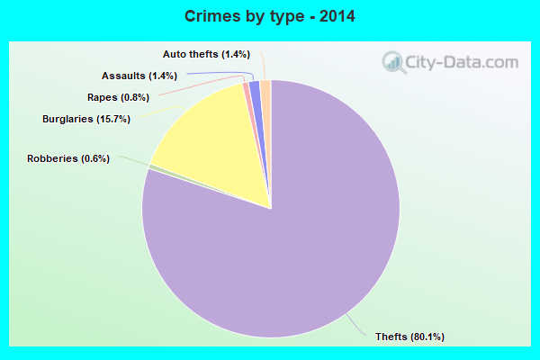 Crimes by type - 2014