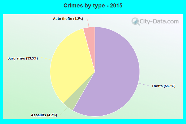 Crimes by type - 2015