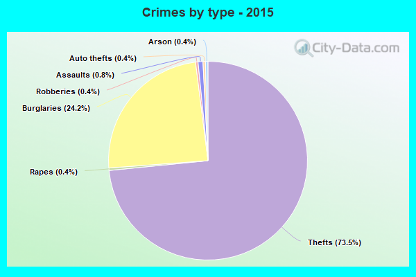 Crimes by type - 2015