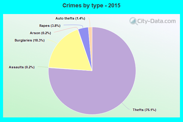 Crimes by type - 2015