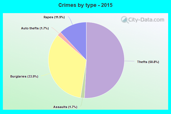 Crimes by type - 2015