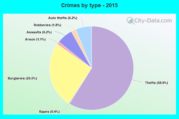 Crimes by type - 2015