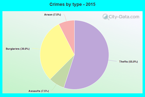 Crimes by type - 2015